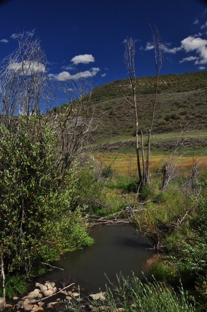 Brush Creek Trail